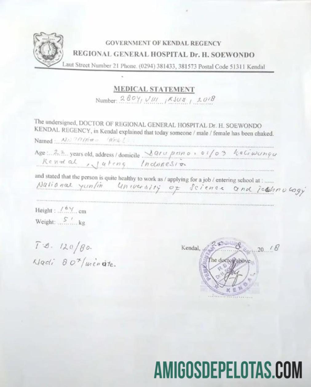 Declaração Médica da Romênia amostra